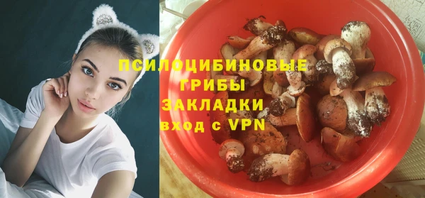 мдпв Беломорск