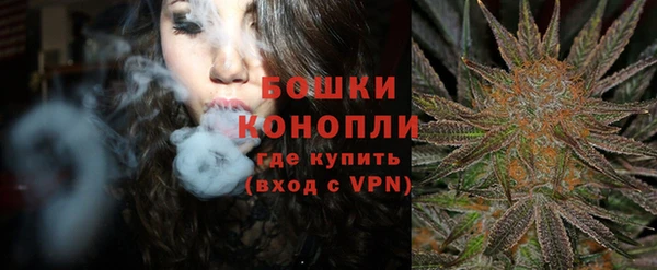гидропоника Белокуриха