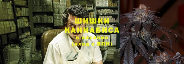 гидропоника Белокуриха