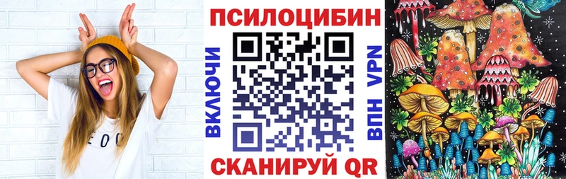 Галлюциногенные грибы GOLDEN TEACHER  Купить закладки  Андреаполь 